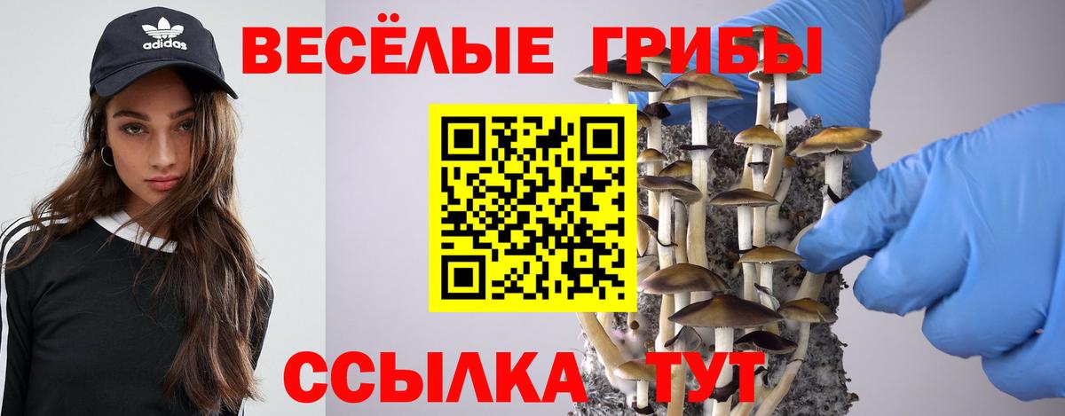 Псилоцибиновые грибы Psilocybe  Псилоцибиновые грибы Magic Shrooms  как найти   Вход с VPN  Кстово 