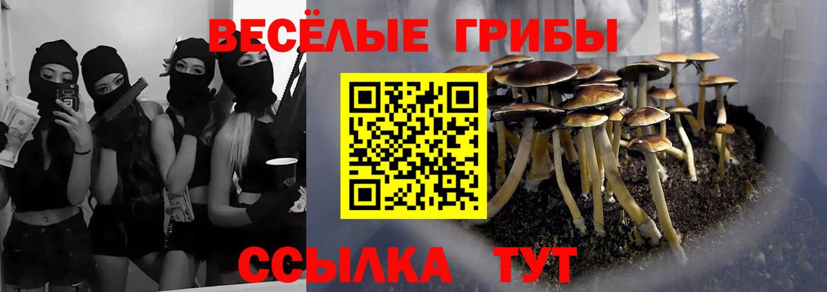 Псилоцибиновые грибы мухоморы Кстово